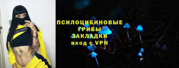 прущие грибы Баксан