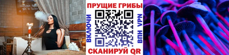 как найти   Вельск  Псилоцибиновые грибы мухоморы 