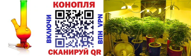 Бошки марихуана SATIVA & INDICA  Вельск 